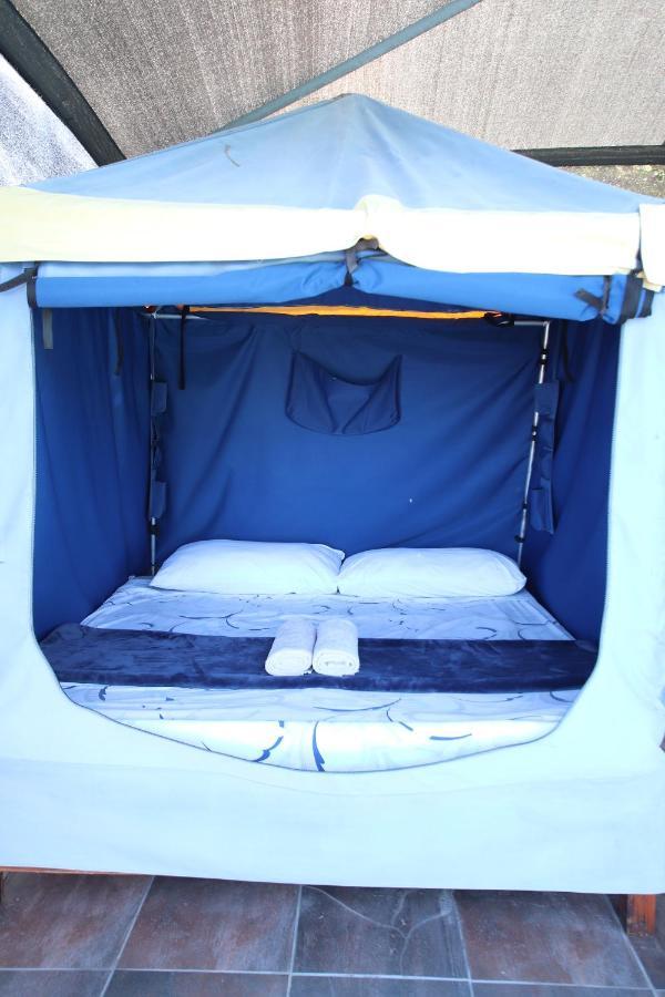 Tsitsikamma On Sea Poolside Cabanas - They Are Not Tents Witelsbos Ngoại thất bức ảnh