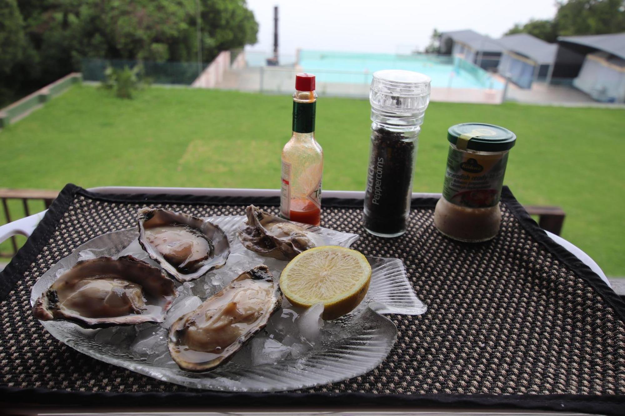 Tsitsikamma On Sea Poolside Cabanas - They Are Not Tents Witelsbos Ngoại thất bức ảnh